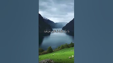 واتس اب قران كريم القارئ شريف مصطفى (سوره المجادلة)