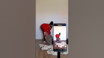 Do you want to see the result? #funny #omg #tutorial #transition
