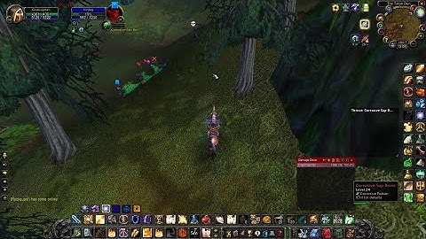 WoW classic HC almost double bot kill in Stonetalon Peak