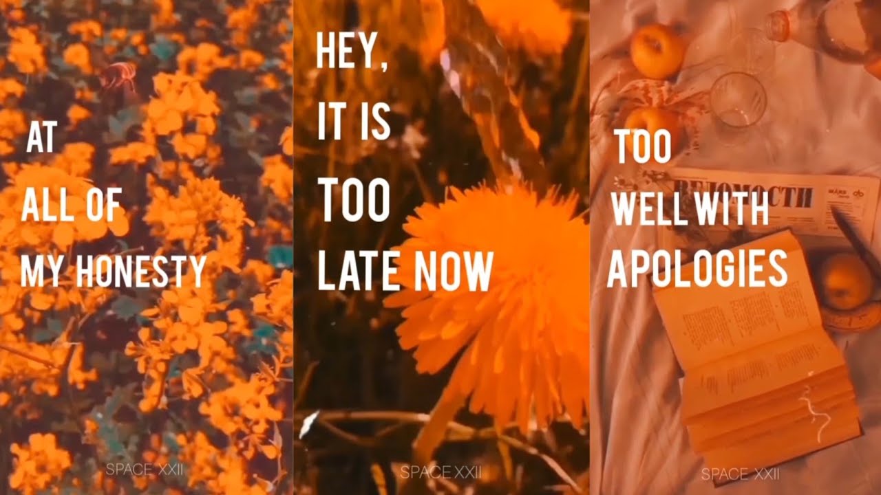 Justin Bieber - Sorry fullscreen whatsapp status |English Song Whatsapp Status | Sorry Status