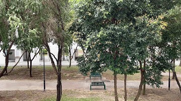 FiLMiC Pro 8-bit Log V2 after colour grading