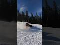 Lay Down Snowboard Carve