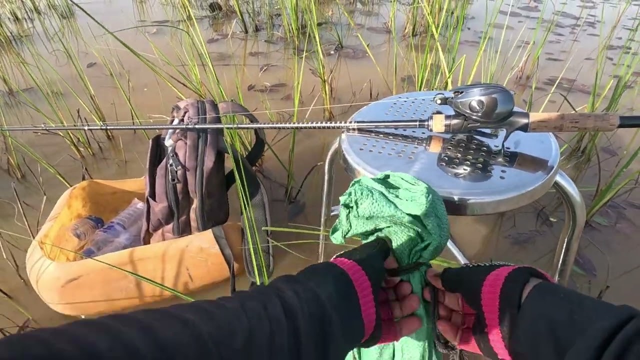 បឹងសម្ងាត់ ភាគ.២ #បបក់ត្រីធម្មជាតិ #fishing #បាន1គ្រាន់លាងអំបឹល