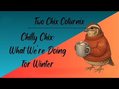 Chilly Chix: What we are Doing for Winter