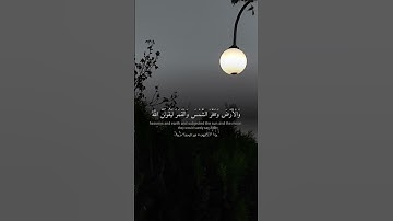#قران_كريم #اكسبلور #قرآن #راحة_نفسية #لايك #سورة_العنكبوت