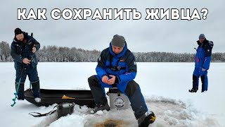 Как сохранить живца зимой? Ловля живца с вечера, портативный аэратор для живца и многое другое