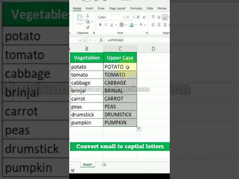 Excel for New Learners: How to change lower to upper case
