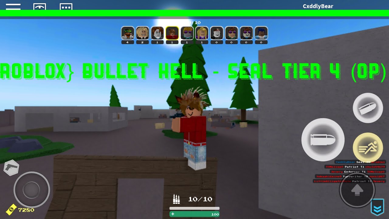 Roblox Bullet Hell Tier 4 Seal Op Youtube - code bullet hell roblox