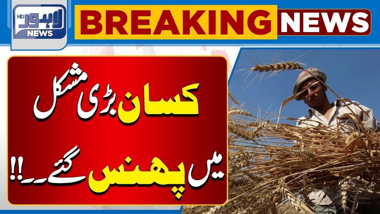 Bad News for Farmers in Pakistan | Agriculture Crisis | Latest Farming Update | Lahore News HD