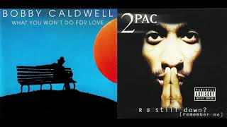 Do For Love by 2Pac (Original Sample Intro) ( What You Wont Do For Love by Bobby Caldwell )
