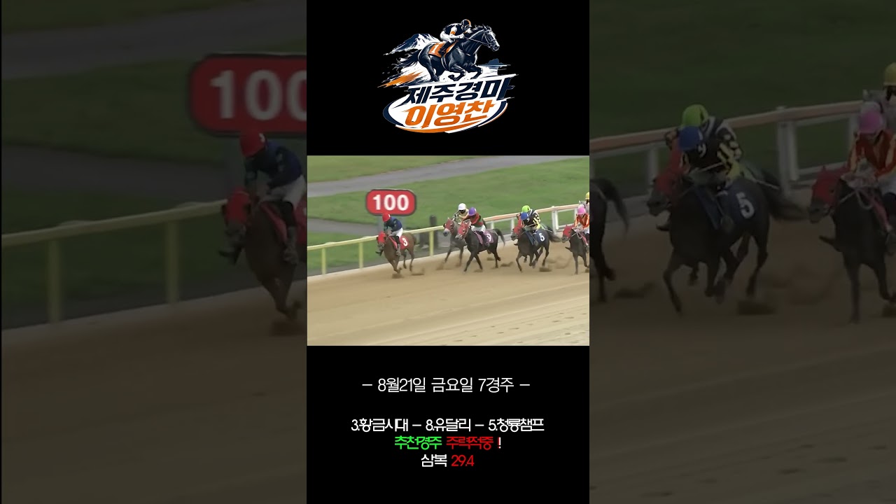 적중내역 8월3주차