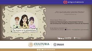 Ciclo de conferencias 