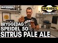 Bryggedag Ægir Dag Sitrus Pale Ale