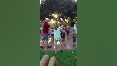 Thumbnail of The Fenians