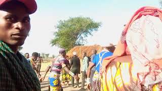 Download Lagu mang'adi harusi kwa masesa official videos 2023HD MP3 Download Lagu mang'adi harusi kwa masesa official videos 2023HD MP3