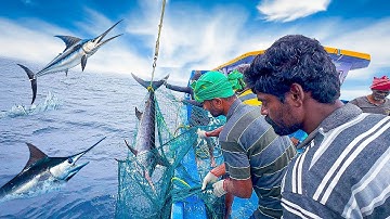 Wow🤩 Non-Stop Action! 5th Day of Gill Net Fishing in the Deep Ocean | Day-05 | S06-EP05