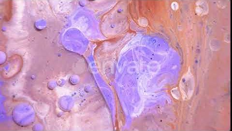 Fantastic Structure of Colorful Bubbles | Stock Footage - Envato elements