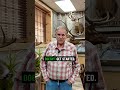 Bug and Pest Mitigation | Taxidermy | Wilderness by Klaus
