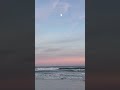 Wildwood #prettycolors #oceanlife #beautiful