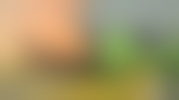 2D Animated Short Film "STOP MOTHERFUCKER" Wild Crazy Animation by The Animation Workshop