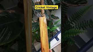 Batte de cricket d'occasion : Equipements | Cricket - 14/09/2023