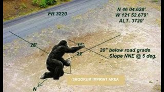 Unveiling the Skookum Bigfoot Cast: Evidence or Mystery