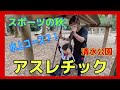 【アスレチック】清水公園のアスレチックで運動不足解消？！