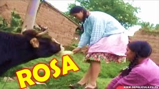 ROSA UNA NIÑA HUANCAINA - Película Completa