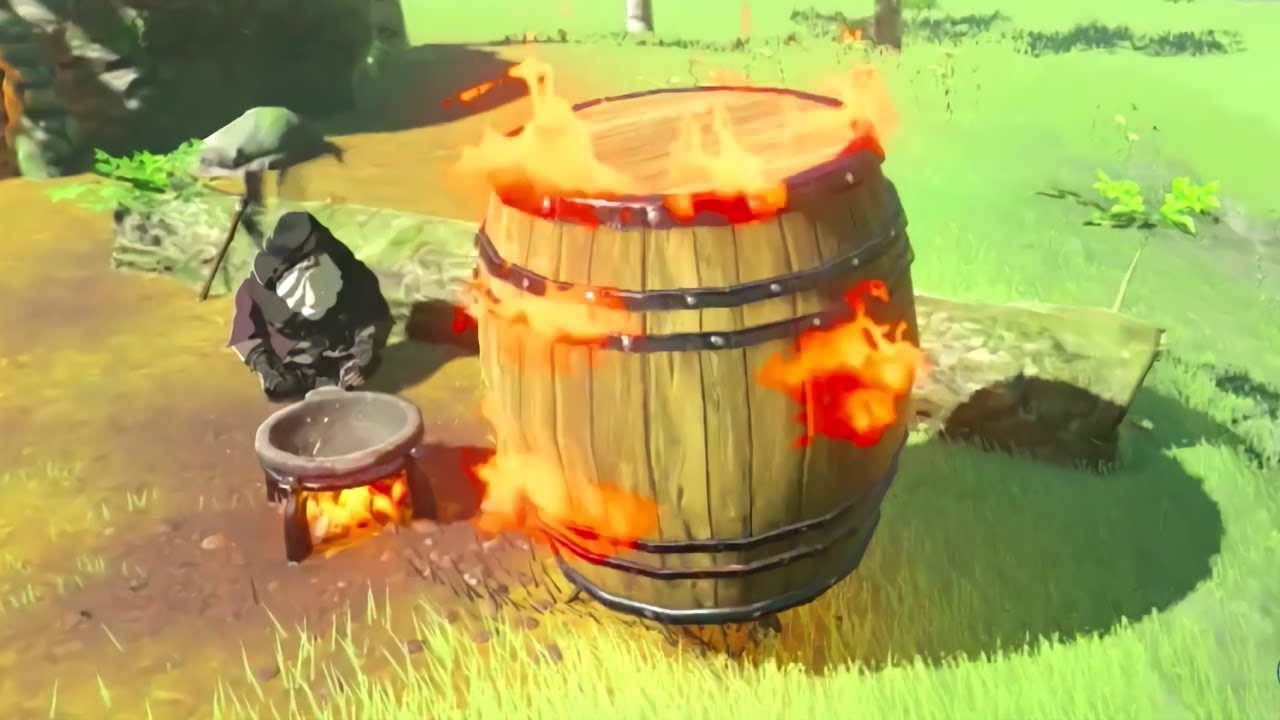 Legend Of Zelda Breath The Wild Crazy Flower Lady Best Flower Site