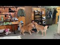 静かに撮り始めたら暴れないかもしれない説