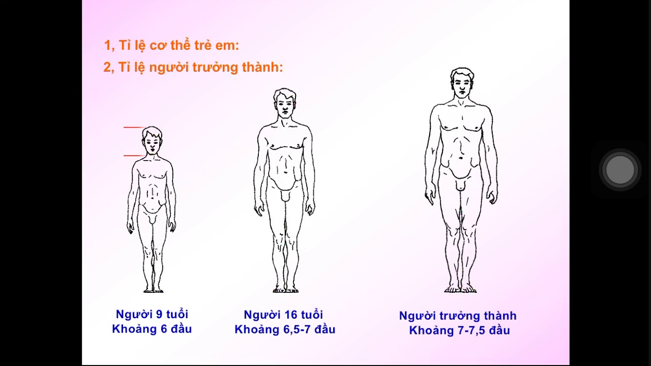 Bạn đang tìm kiếm những hình ảnh mô hình bản vẽ cơ thể người để cải thiện kỹ năng vẽ của mình? Đây chính là nơi dành cho bạn. Hình ảnh liên quan đến từ khóa \