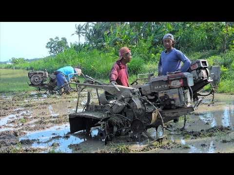Power Tiller Two Wheel Tractor Working in a Row Preparing Rice Fields