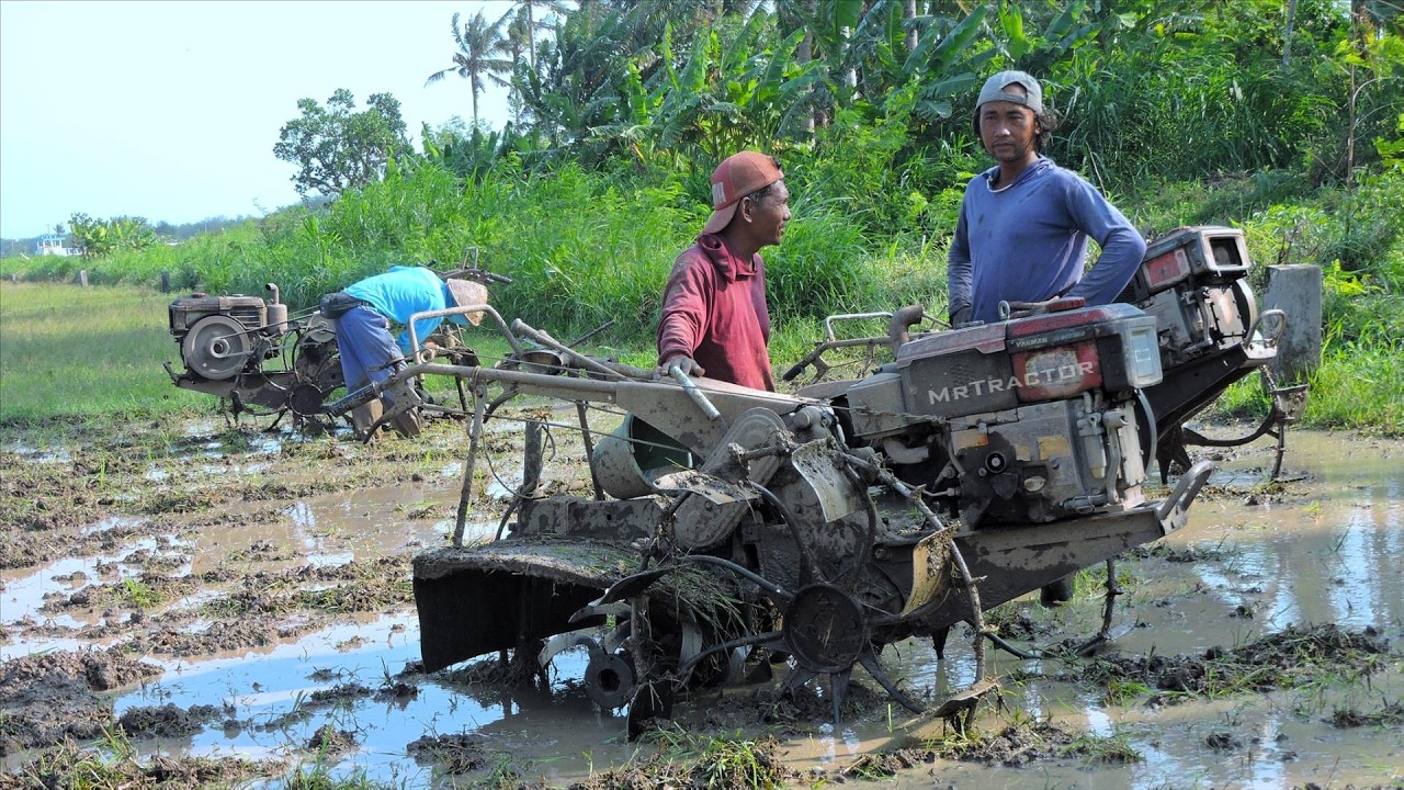 Power Tiller Two Wheel Tractor Working in a Row Preparing Rice Fields