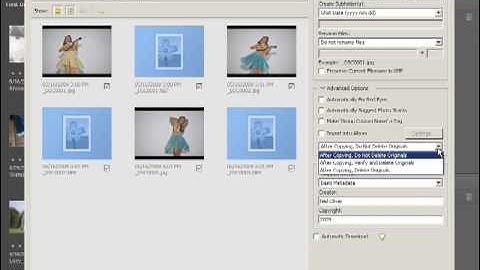 Photoshop Elements 7 Tutorial Video - Importing Photos from Camera