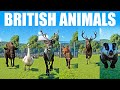 British animals speed races in planet zoo included wisent swan fox deer badger reindeer