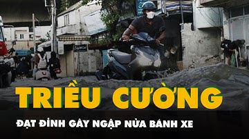 Triều cường đạt đỉnh gây ngập nửa bánh xe trên đường Trần Xuân Soạn ở TP.HCM