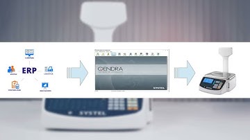 Formato de archivo CSV para importar PLUS en Qendra