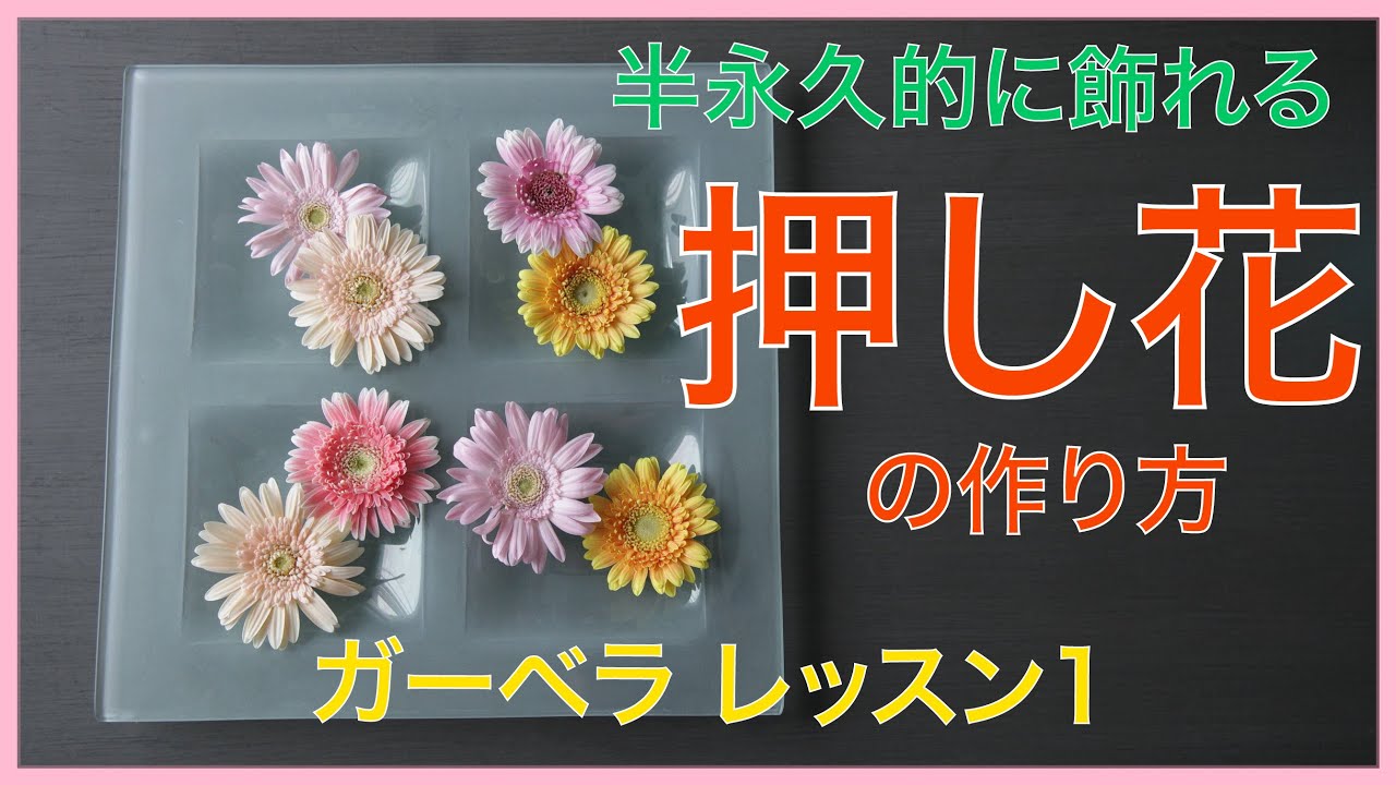 バラ押し花の作り方 色別に異なるプレスと花の組み立て Youtube