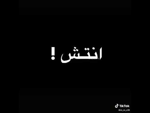 حالات واتساب علي اغنية لقيت الطبطبه