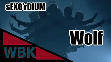 EXO- Wolf The EXO'rDIUM IN JAPAN Reaction