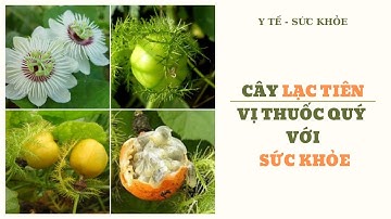 Lạc tiên - Vị thuốc quý với sức khỏe giúp an thần, chữa mất ngủ