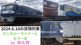 日曜14時台の桃太郎 EF210-328 EF210-122 カンガルーライナー 20240616 #ef210 #ef210形 #ef210桃太郎 #ef210100番台 #ef210新塗装