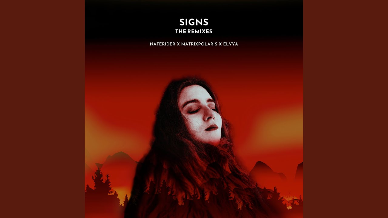 Signs (PINS3Y Remix)