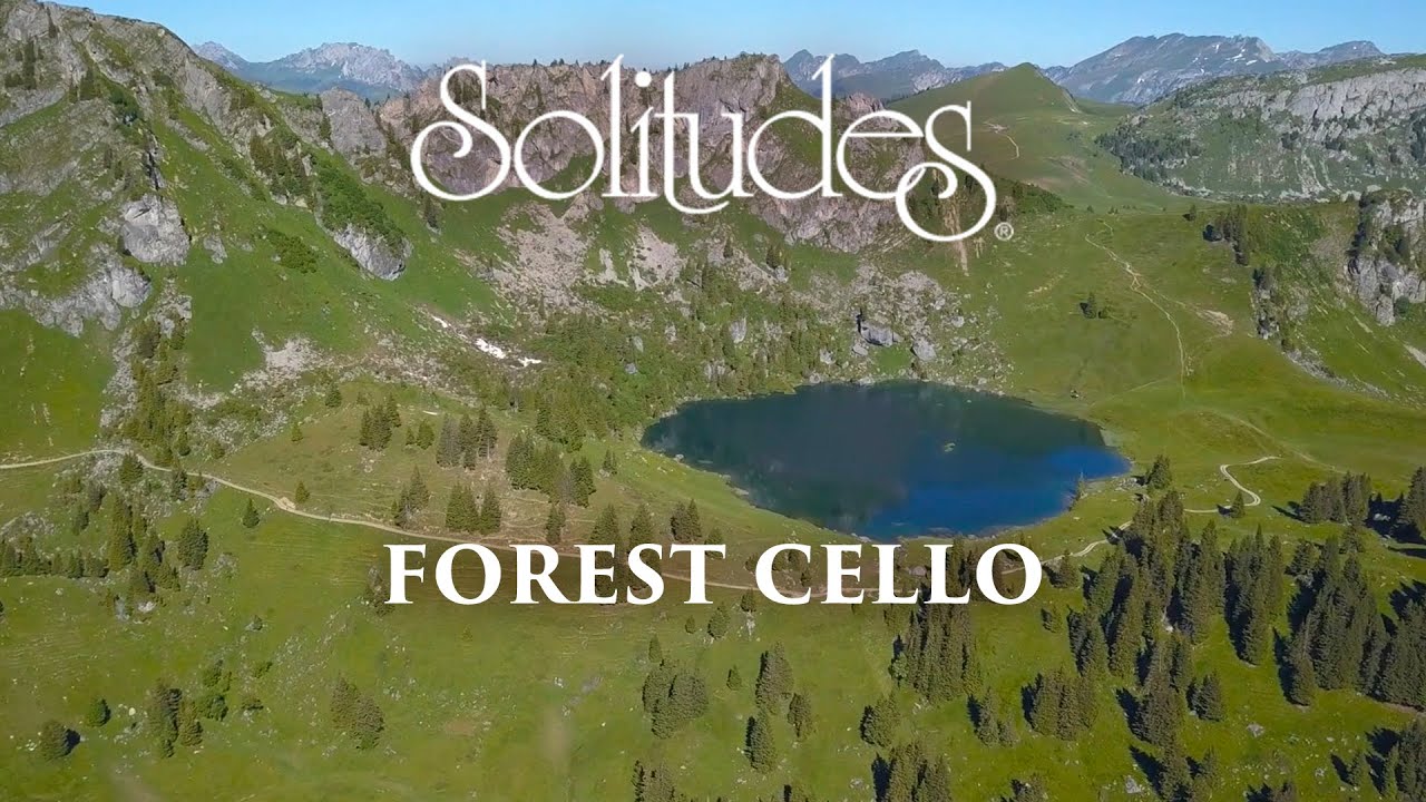 在 YouTube 上觀看「Dan Gibson’s Solitudes - Majesty of the Lake | Forest Cello」