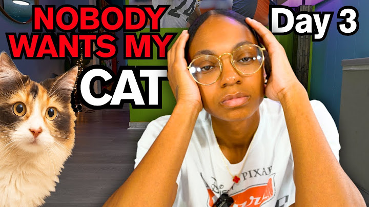 Trying to Rehome My Cat… But No One Will Take Him