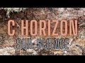 Understanding the C Horizon in Soil Science