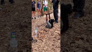 On My Channel In Full Video