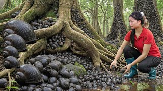 Full Video Harvesting 1000kg of Mutant Apple Snails - Bringing Them to Market - Wild Snails