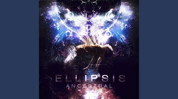 Temporal Displacement