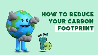 How to Reduce Your Carbon Footprint